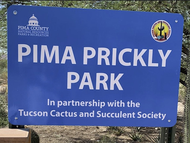 Pima Prickly Park